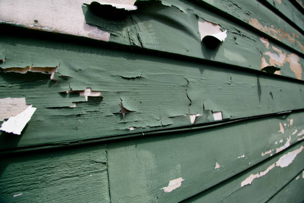 Best Weatherproofing and Sealing  in Churchill, MT