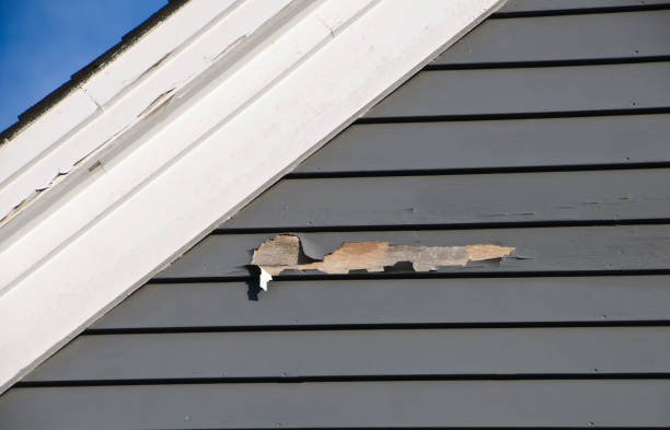  Churchill, MT Siding Installation Pros